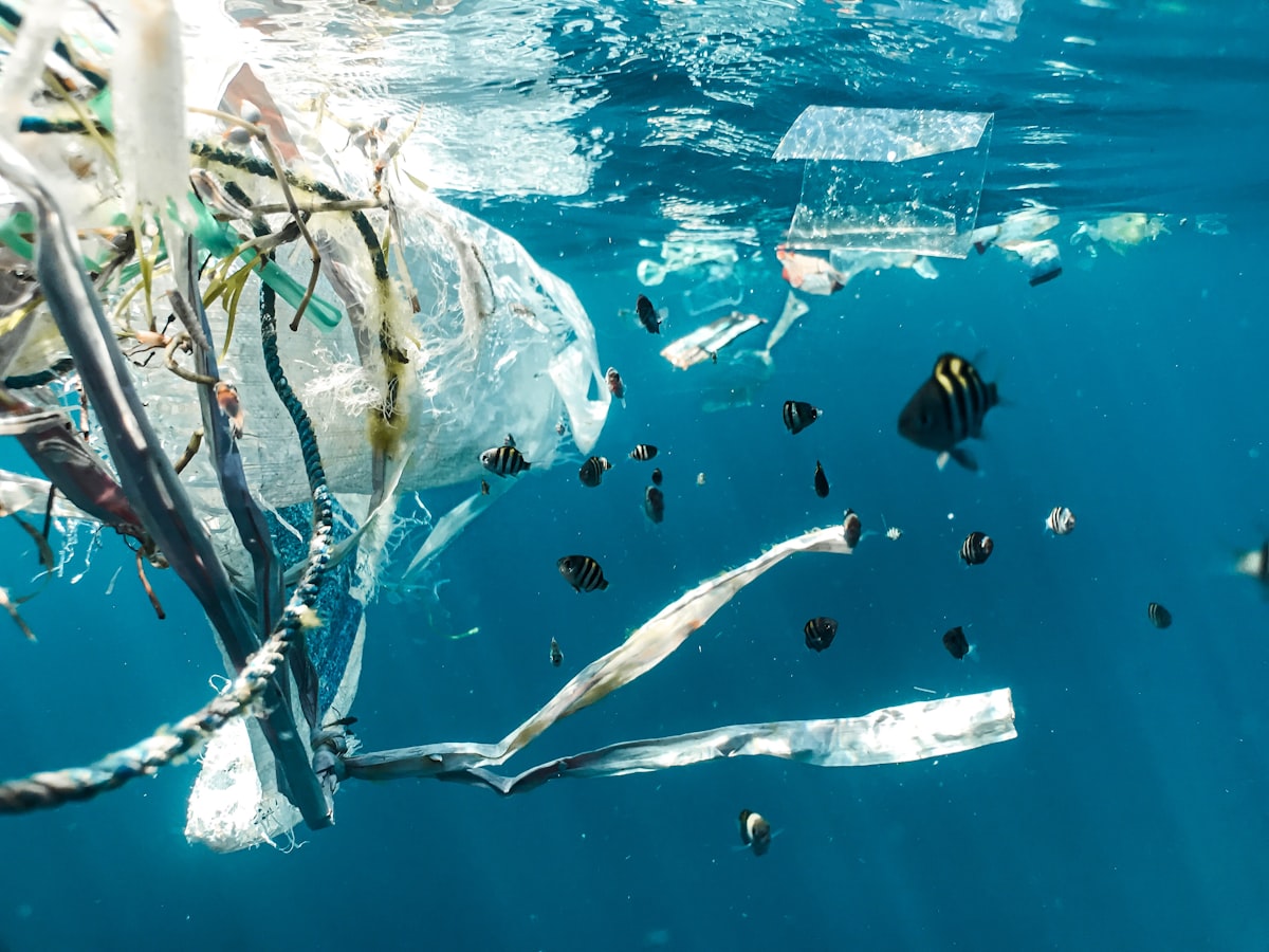 Victoire législative — interdiction des microplastiques